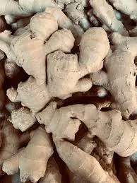 Fresh ginger 100g