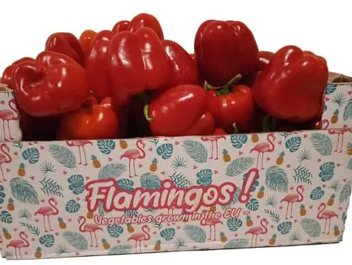 Red bell pepper box 5kg
